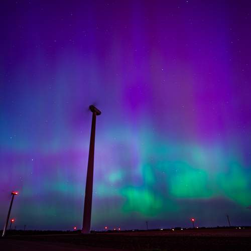 Photo #10601662