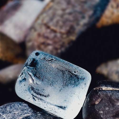 Photo #10601874