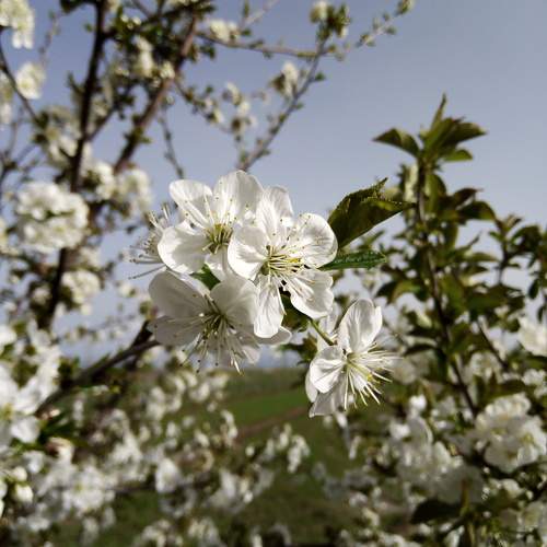 Photo #10602208