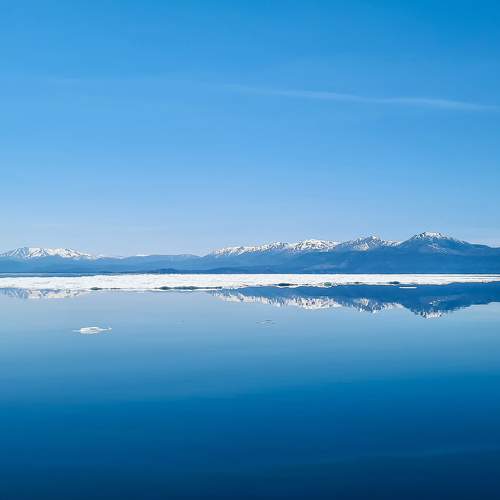 Photo #10602265