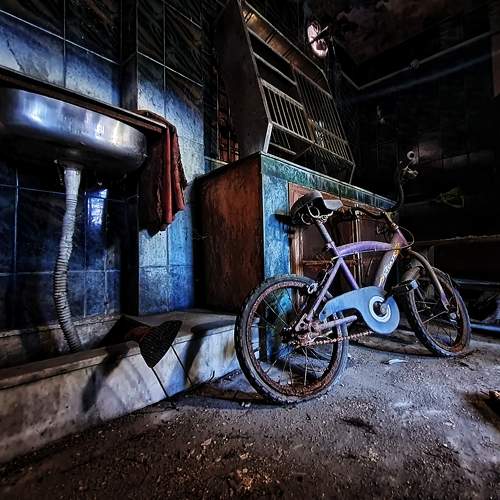 Photo #10602487