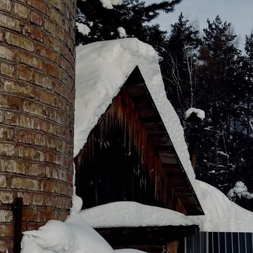 Photo #10603022