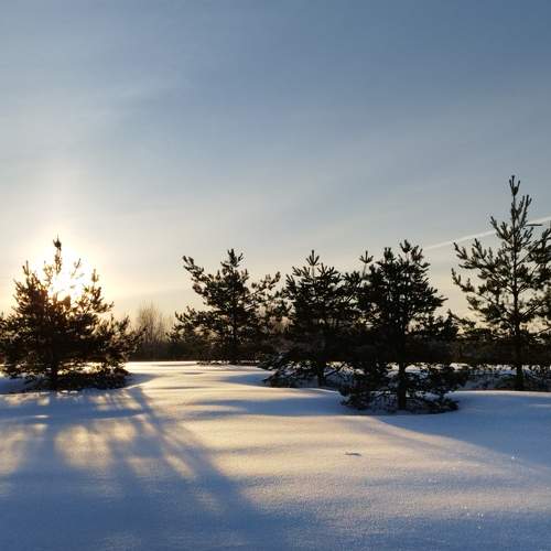 Photo #10603314