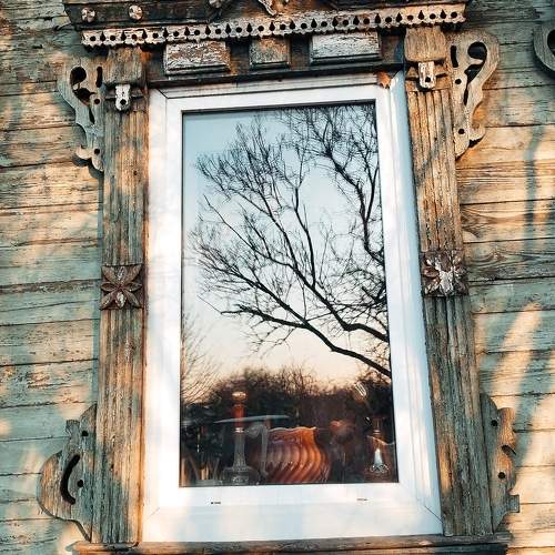 Photo #10603321
