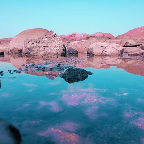 Photo #10603453