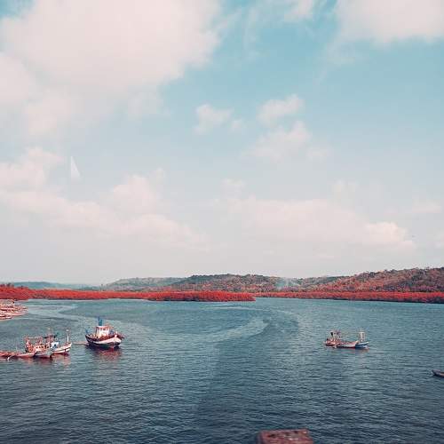 Photo #10603456