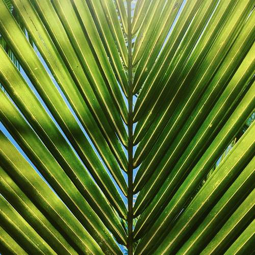 Photo #10603534