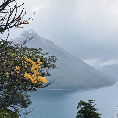 Photo #10603656