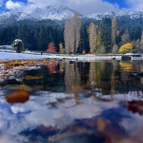 Photo #10603675