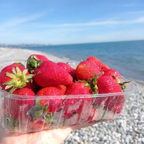 Photo #10603769