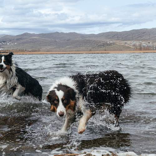 Photo #10603800