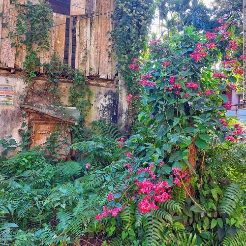Photo #10603984