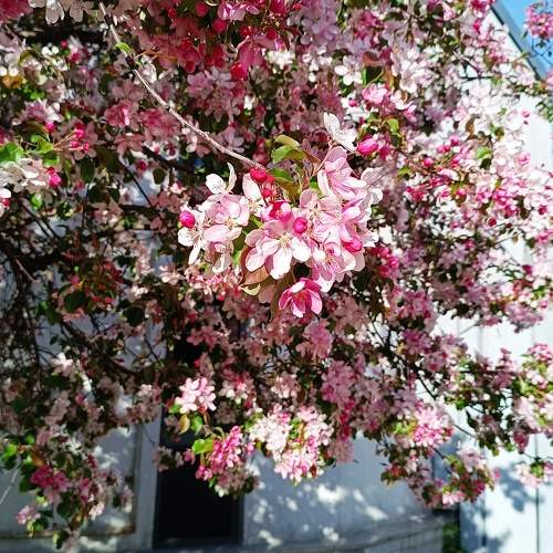 Photo #10604134