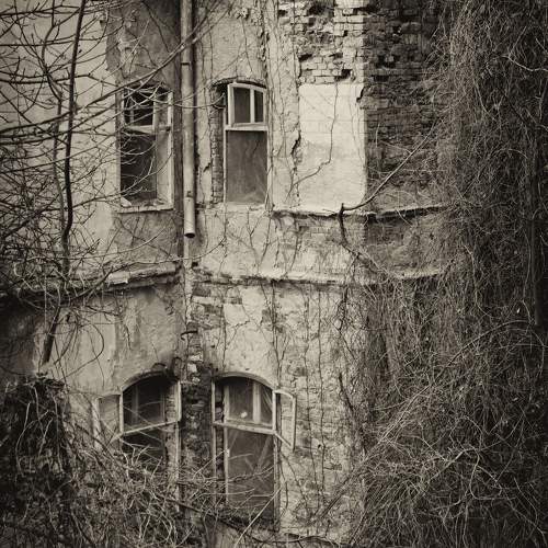 Photo #10604358