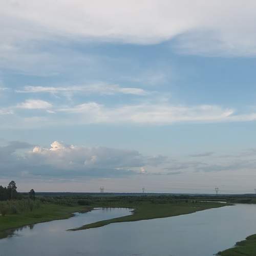 Photo #10604400
