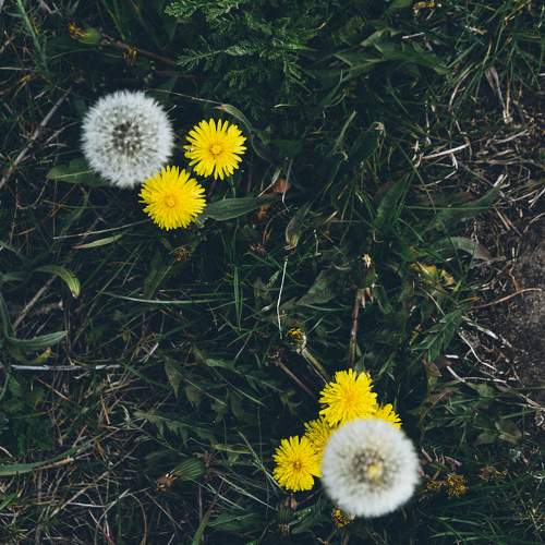 Photo #10604455