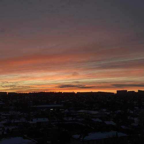 Photo #10604457
