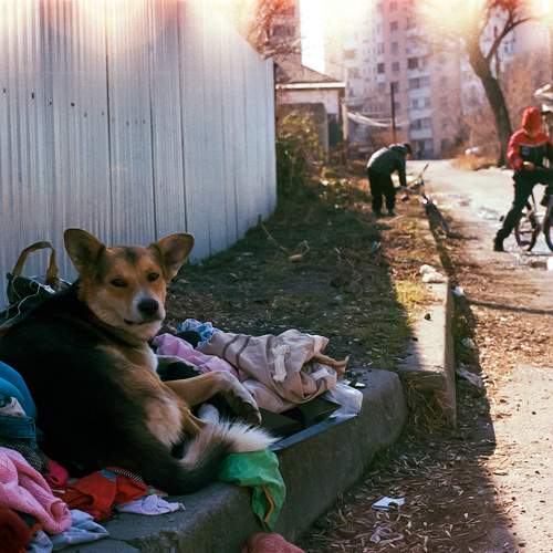 Photo #10604516