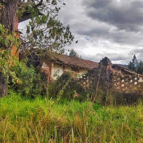Photo #10604682