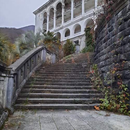 Photo #10604812