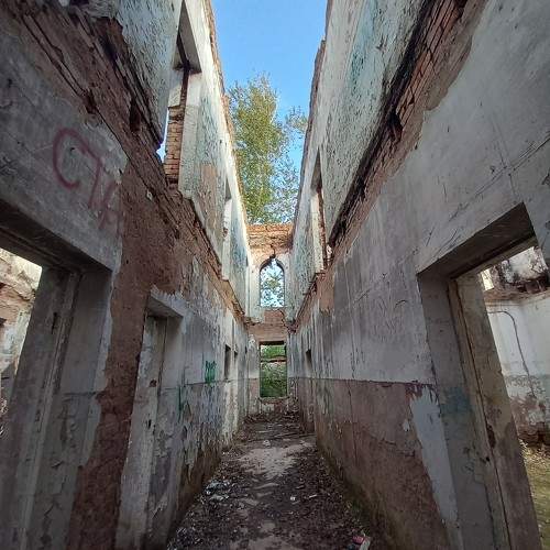 Photo #10604903