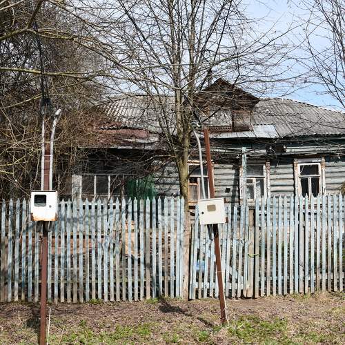 Photo #10604970