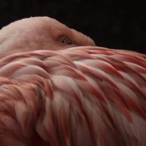Photo #10605635