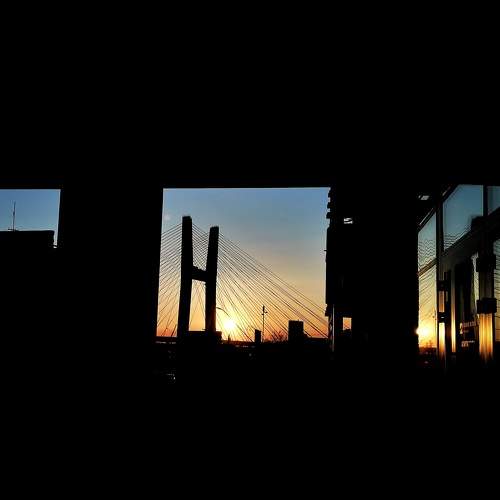 Photo #10605847