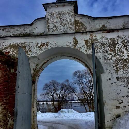 Photo #10605952