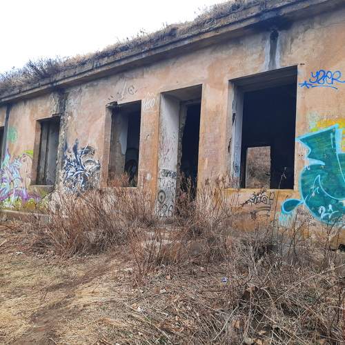 Photo #10606282