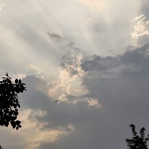 Photo #10606381