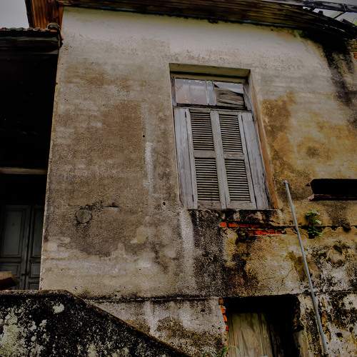 Photo #10606472