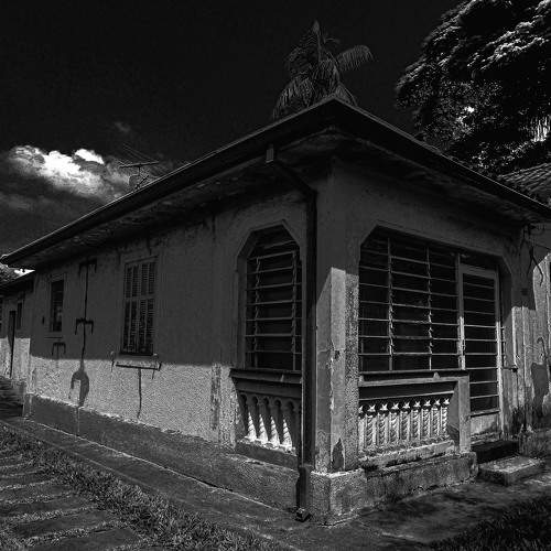 Photo #10606483