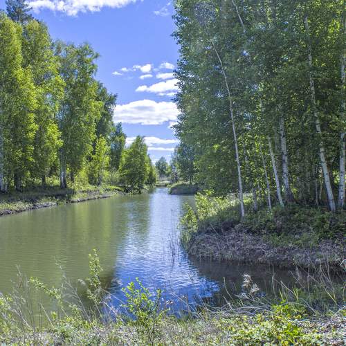 Photo #10606595