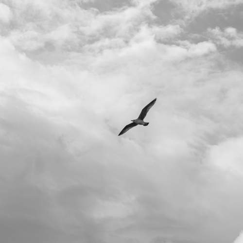 A sailor in the air