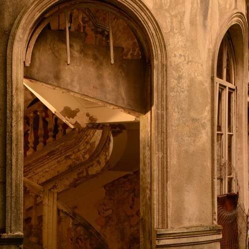 Photo #10606932