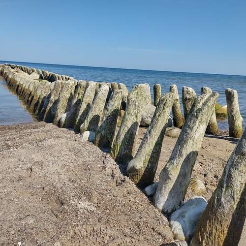 Photo #10606976