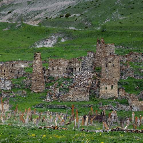 Photo #10607035