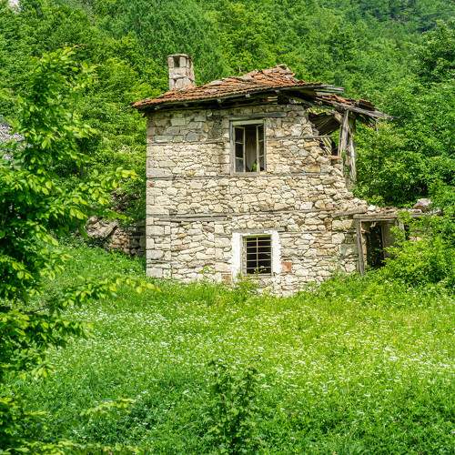 Photo #10607120