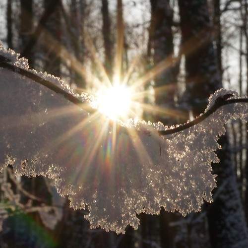 Photo #10607139