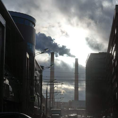 Photo #10607578
