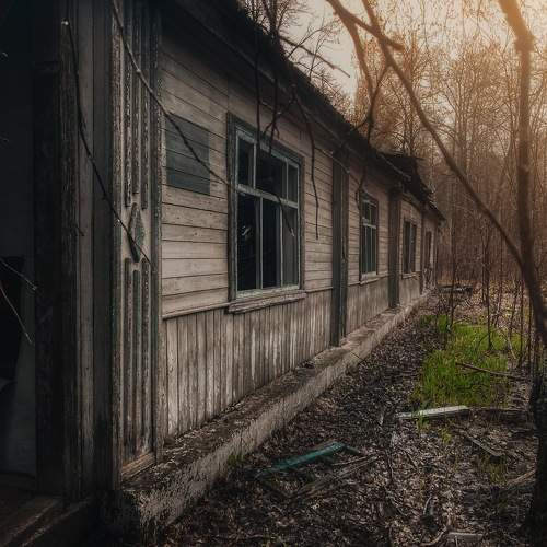 Photo #10607745