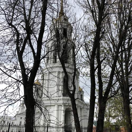 Photo #10608014