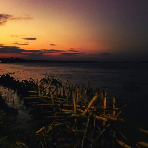 Photo #10608202