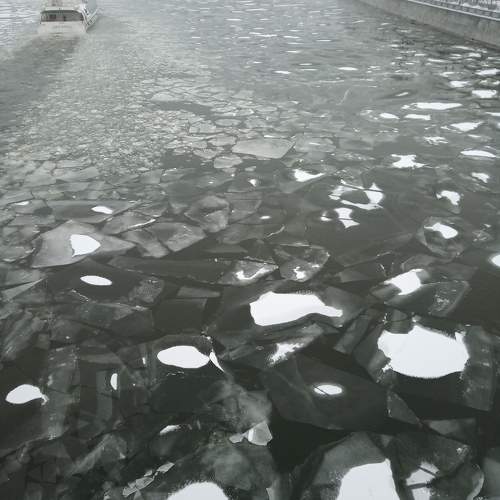 Photo #10608335