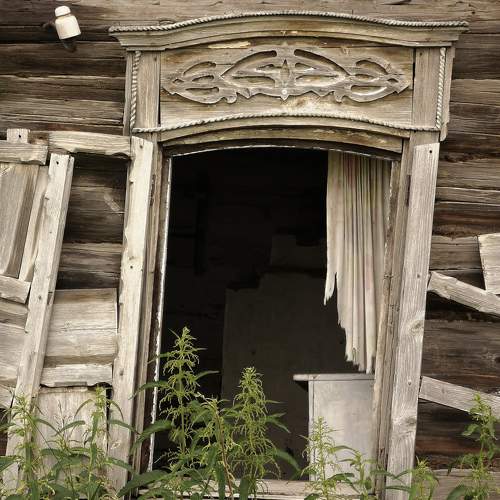 Photo #10608357
