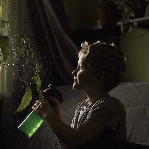 Photo #10608538
