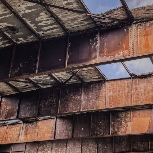 Photo #10608742