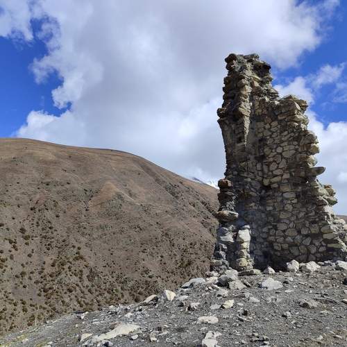 Photo #10608751