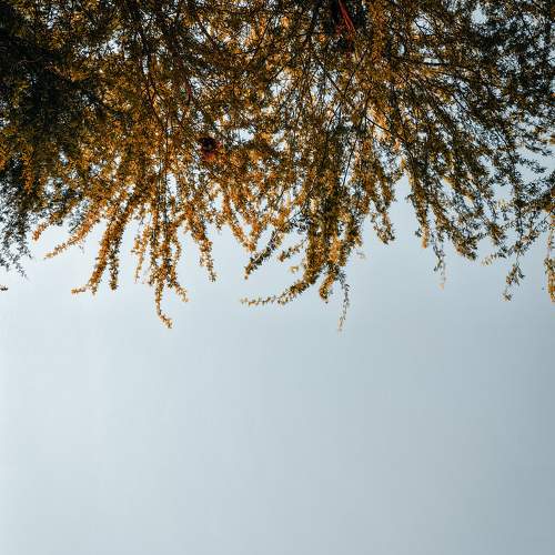 Photo #10608854